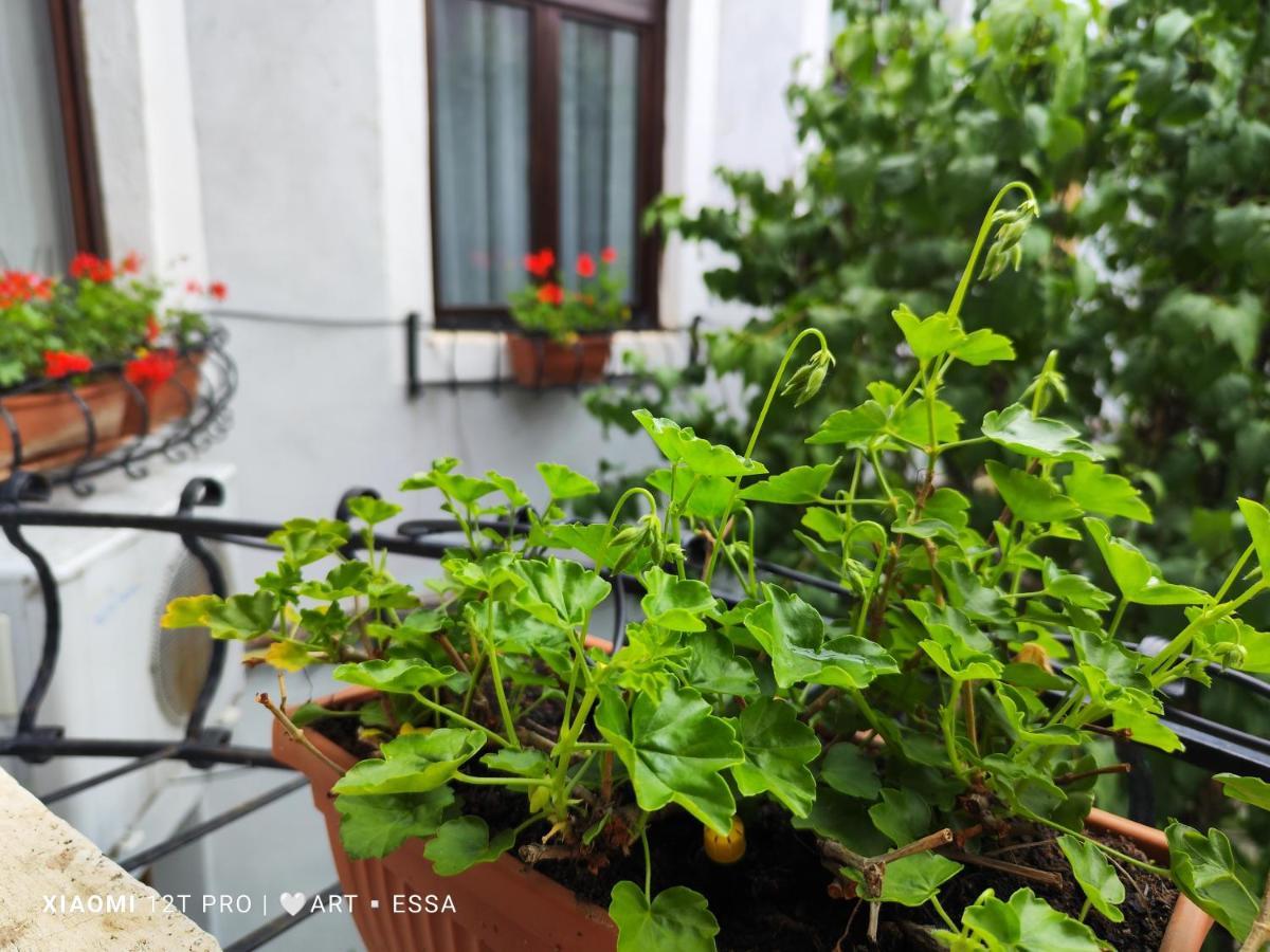 Apartament Buon Gusto,Near Main Square And Liar Bridge,Historical Side Of City Center ซีบิว ภายนอก รูปภาพ